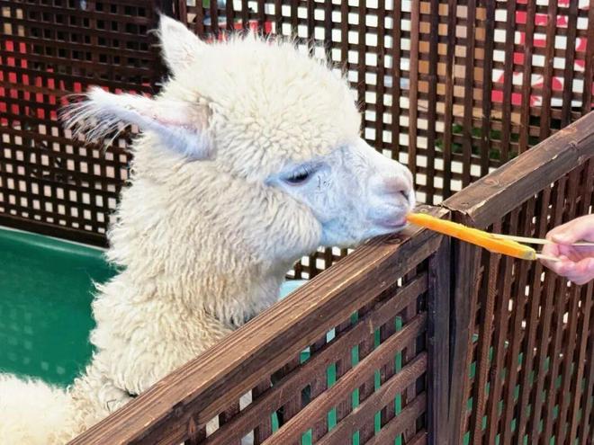 青禾剪辑间 作品封面